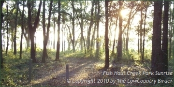 Sunrise in Fish Haul Creek Park