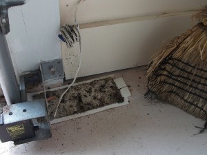 Tomcat Household Pest Glue Trap