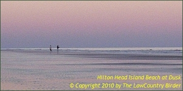 Dusk on the beach - Hilton Head Island