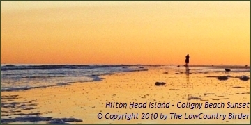 Winter Sunset on Coligny Beach - Hilton Head Island